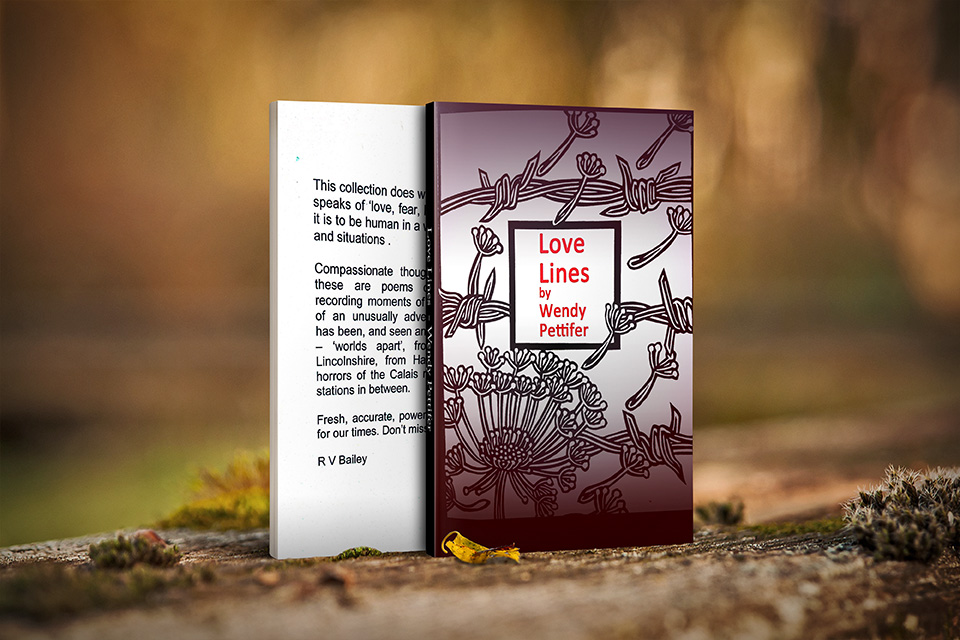 This image has an empty alt attribute; its file name is book-1.jpg